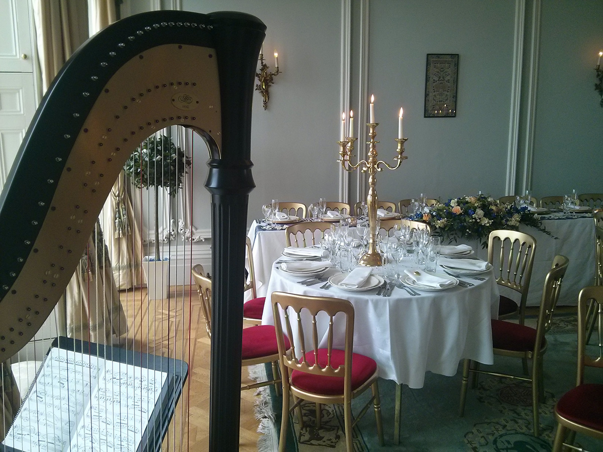 harpist at a wedding breakfast
